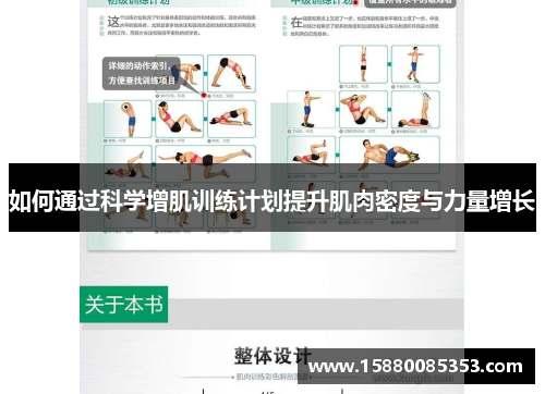 如何通过科学增肌训练计划提升肌肉密度与力量增长