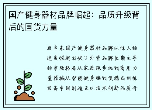 国产健身器材品牌崛起：品质升级背后的国货力量