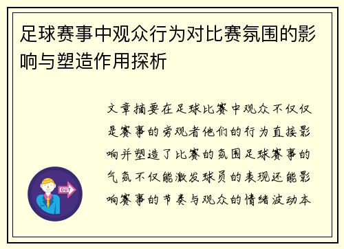 足球赛事中观众行为对比赛氛围的影响与塑造作用探析