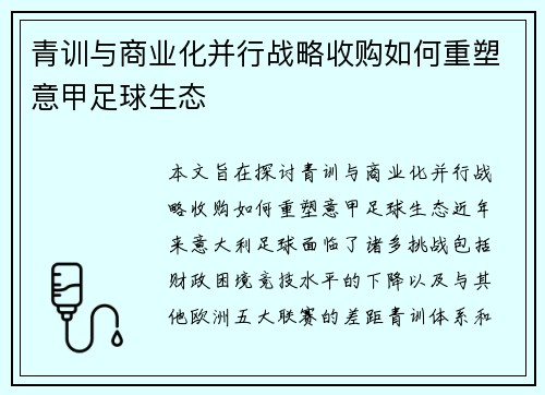 青训与商业化并行战略收购如何重塑意甲足球生态