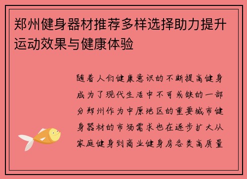 郑州健身器材推荐多样选择助力提升运动效果与健康体验